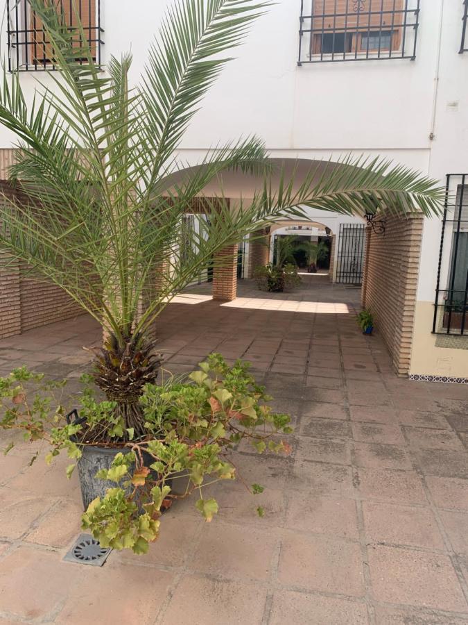 Apartamento A Estrenar A Un Minuto Del Alcazar Cordoba Exterior photo